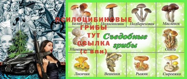 мет Абаза
