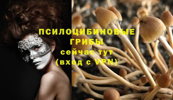 мяу мяу мука Абдулино